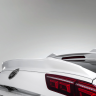 Спойлер для Volkswagen Tiguan (2020-н.в.) купить недорого с доставкой в Тула